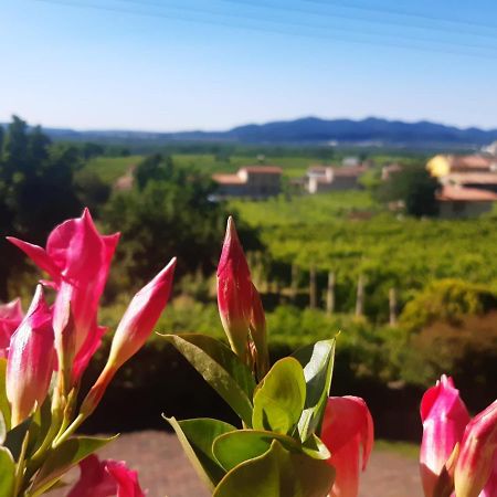 Ca Dei Giari Apartman Valdobbiadene Kültér fotó